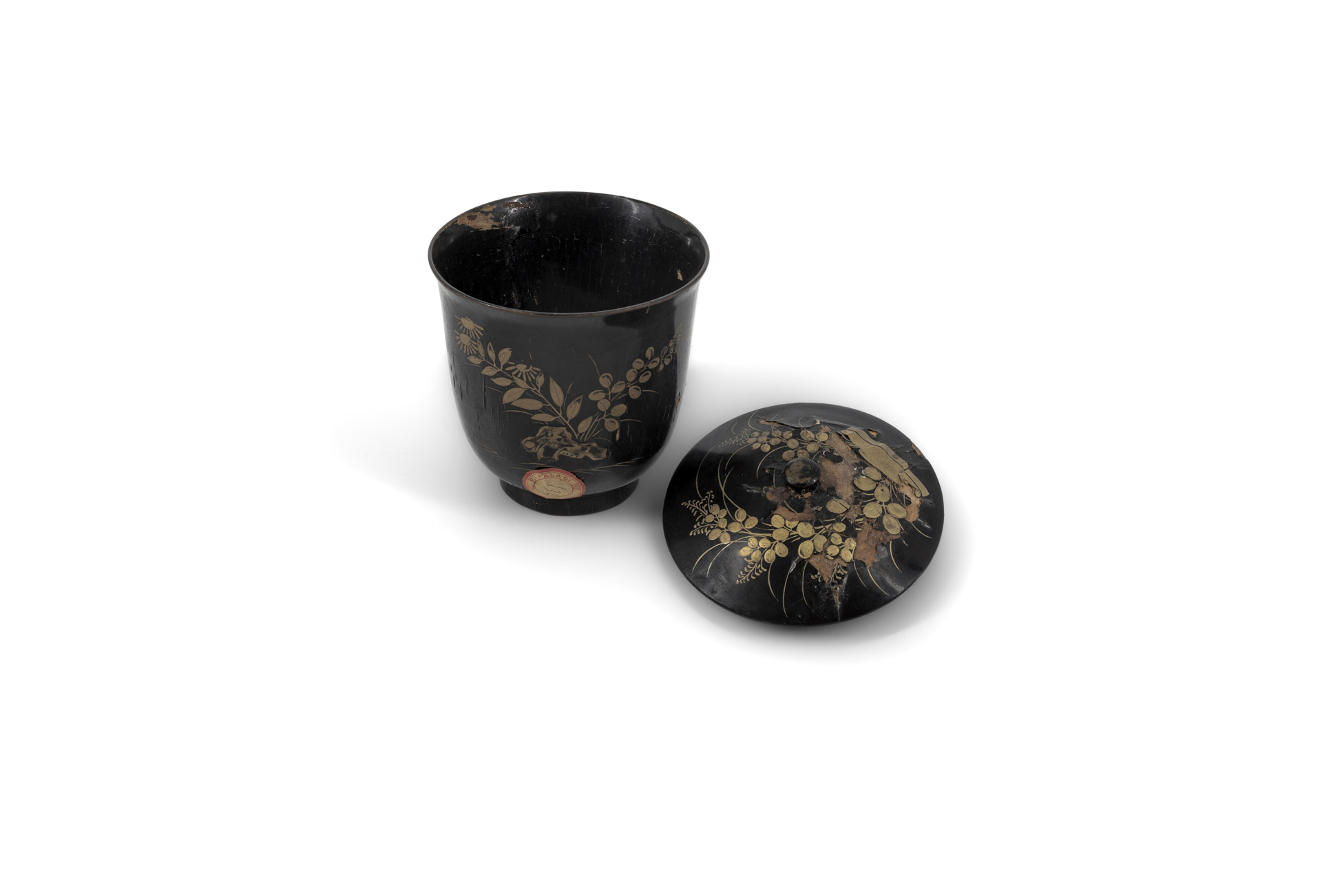 02112022-_N2A4093 copia